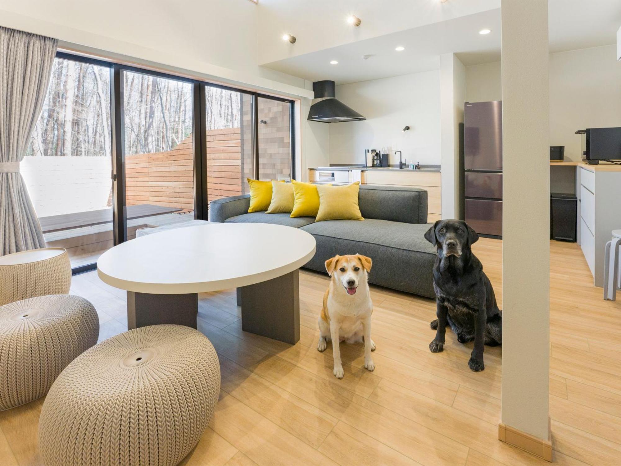 Rakuten Stay Villa Fujikawaguchiko Forest Екстер'єр фото