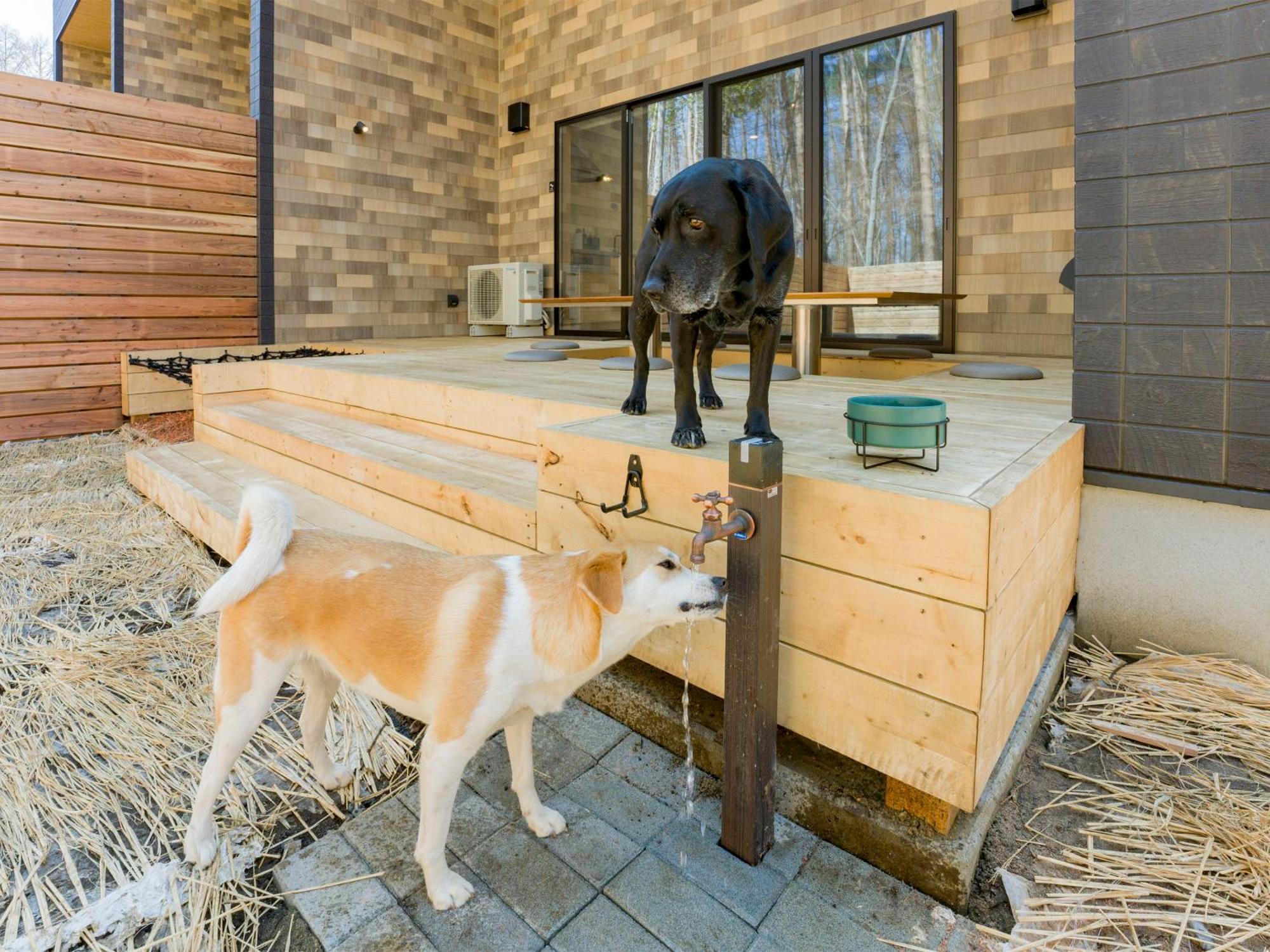 Rakuten Stay Villa Fujikawaguchiko Forest Екстер'єр фото