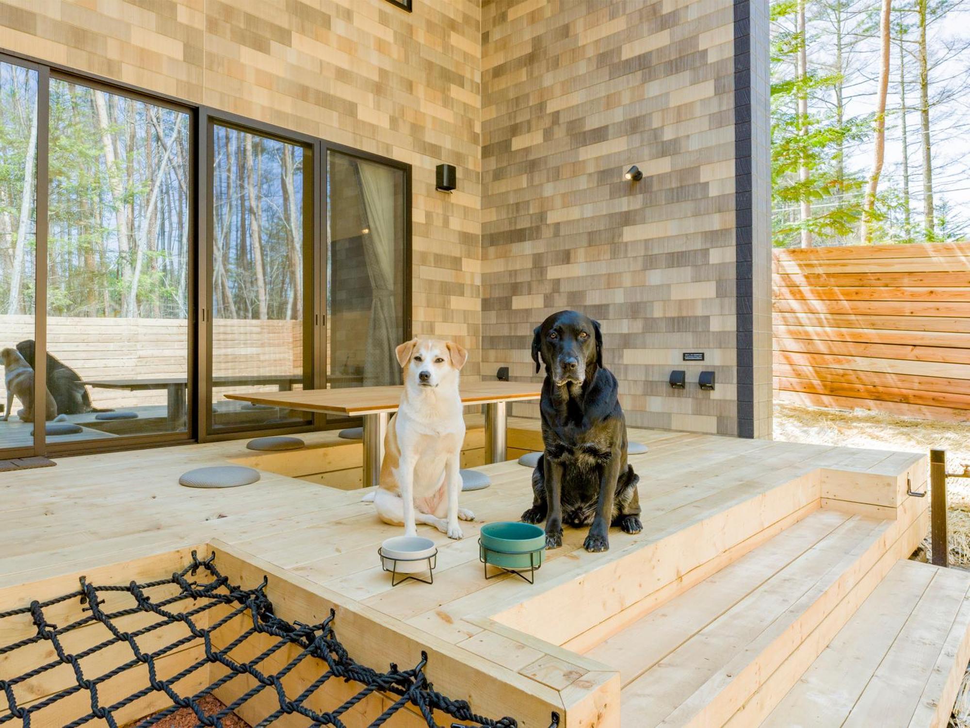 Rakuten Stay Villa Fujikawaguchiko Forest Екстер'єр фото