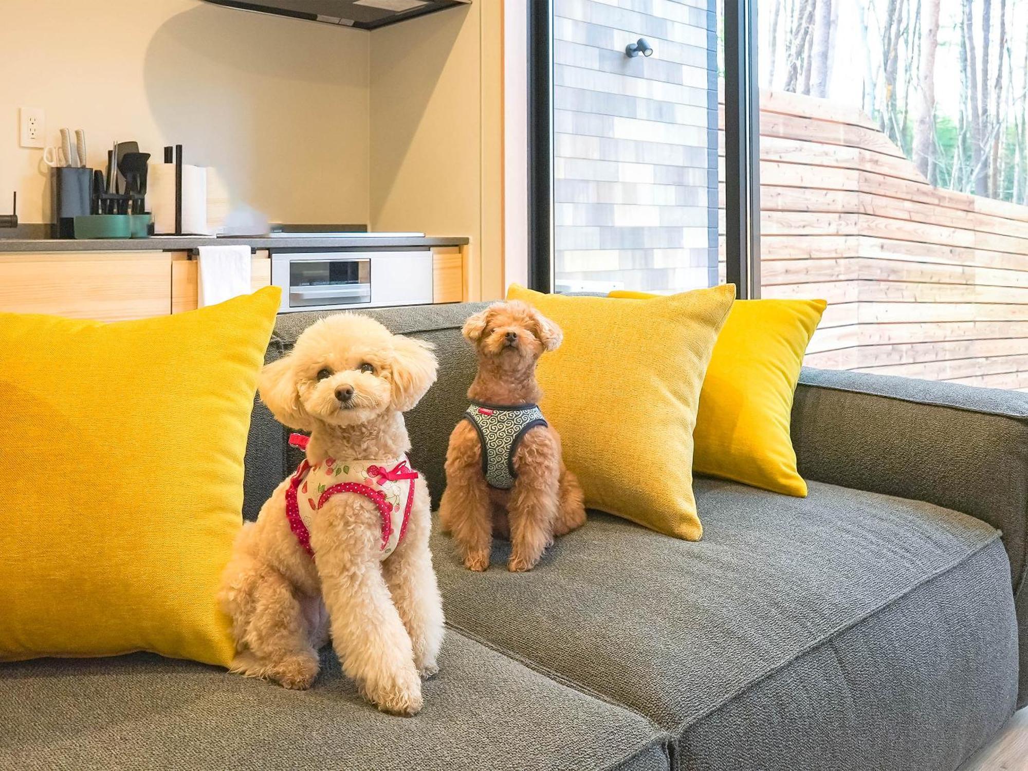 Rakuten Stay Villa Fujikawaguchiko Forest Екстер'єр фото